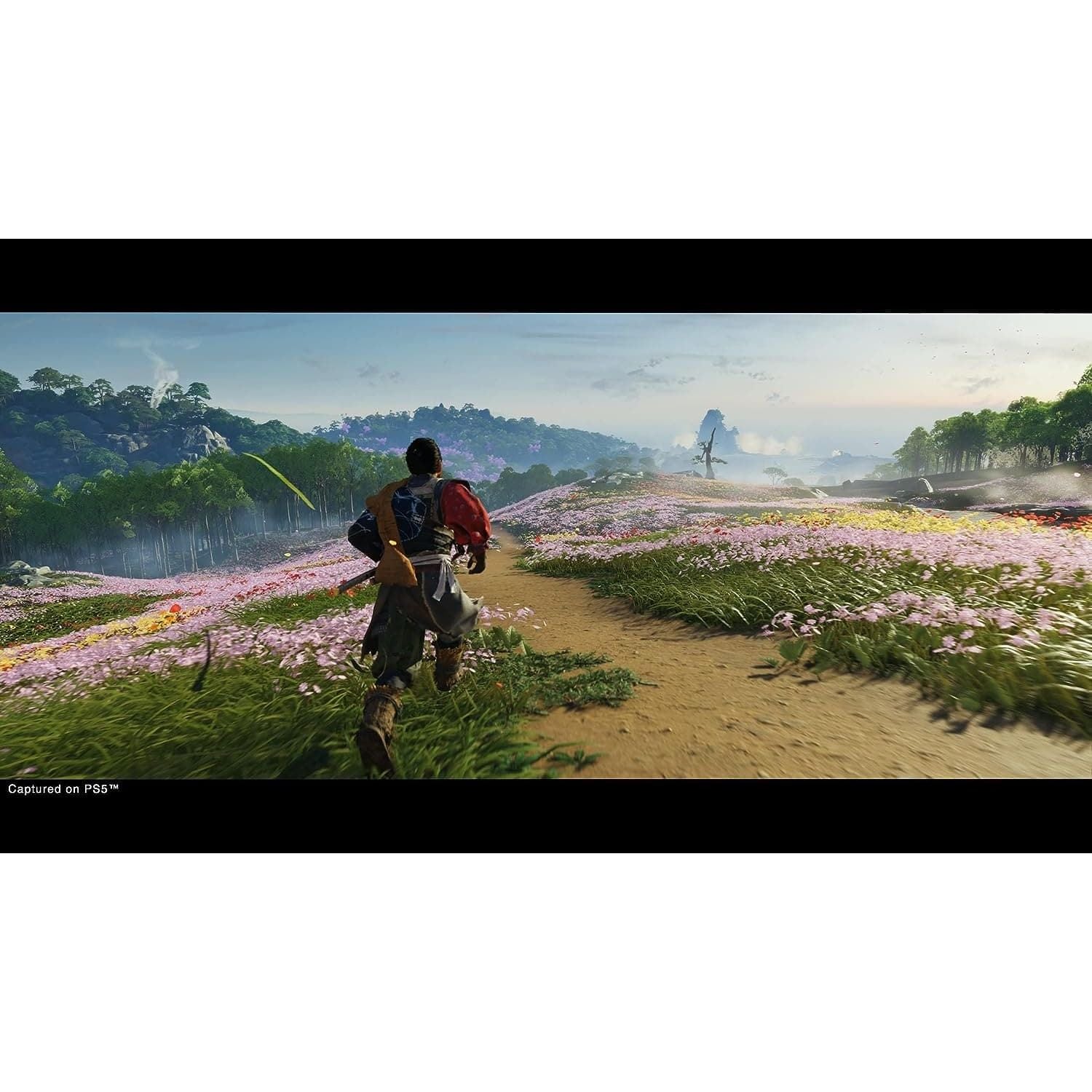 Buy Sony,Ghost of Tsushima: Director’s Cut (PS5) - Gadcet UK | UK | London | Scotland | Wales| Ireland | Near Me | Cheap | Pay In 3 | Video Game Software
